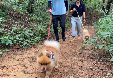 펫(Pet)톤치드존 맛보기 체험