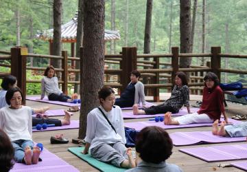 (20인이상) 수도산 바디 테라피