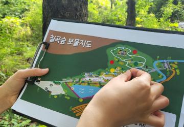 숲 속 보물찾기