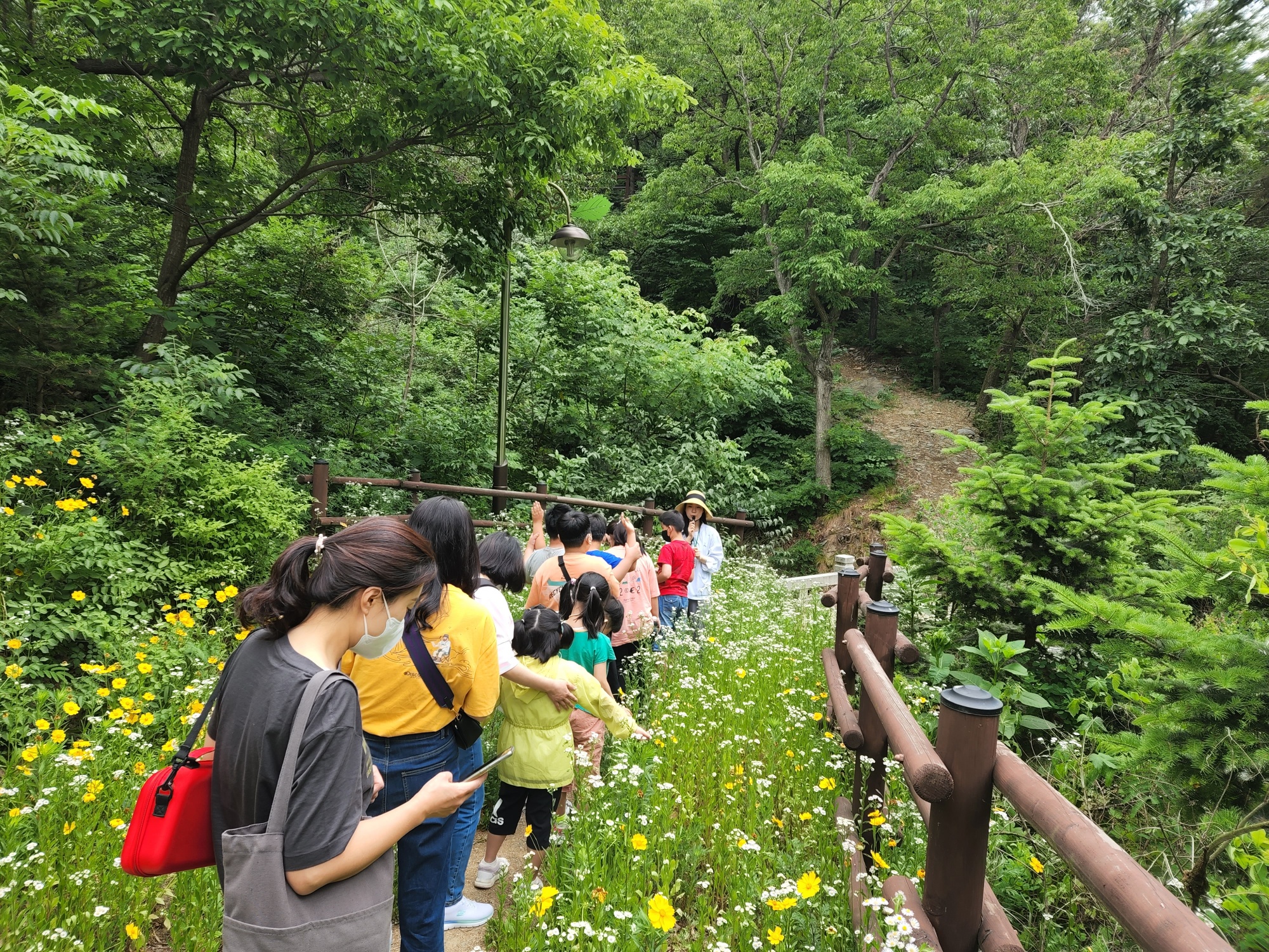 국립예산치유의숲 오감힐링숲산책 프로그램