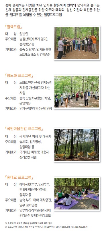 4 횡성숲체원 리플릿 캡쳐 0731.jpg